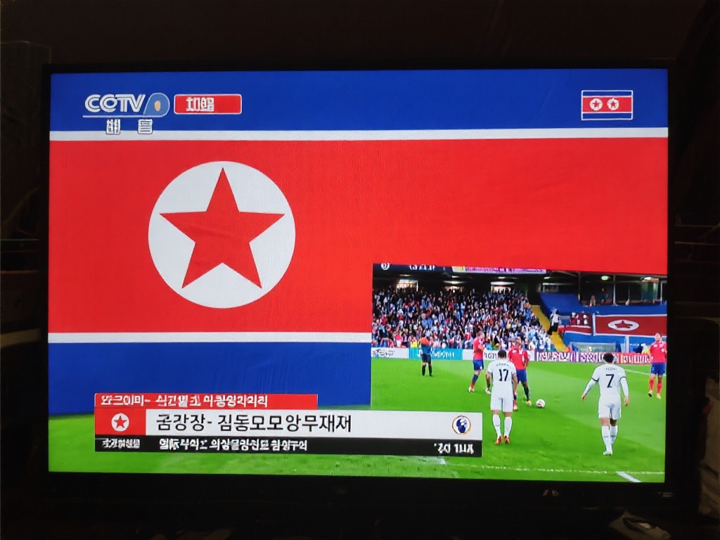 帮助两国的 帮助两国的